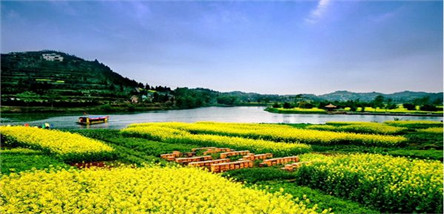 潼南崇龕油菜花、雙江古鎮(zhèn)一日游
