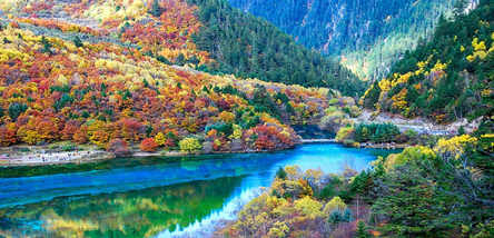 重慶到米亞羅紅葉、孟屯河谷、羌人谷三日游