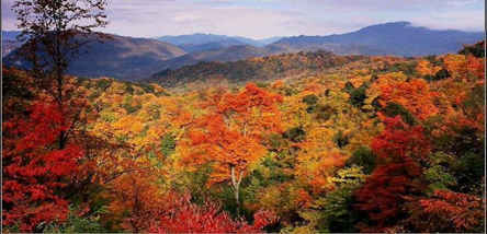 重慶到米亞羅紅葉、孟屯河谷、奶子溝紅葉三日