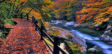 重慶到光霧山看紅葉、儀隴朱德故居跟團(tuán)2日游