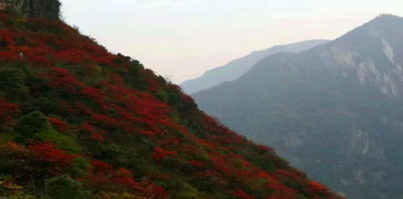 巫山神女天路紅葉、奉節(jié)白帝城（船游瞿塘峽）