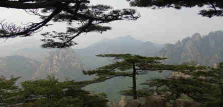 重慶到江西廬山、龍虎山、婺源篁嶺、黃山、景