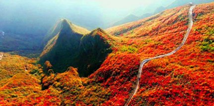 三峽紅葉巔峰之旅三日游