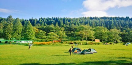 2022春節(jié)涪陵武陵山國(guó)家森林公園自駕2日游套餐